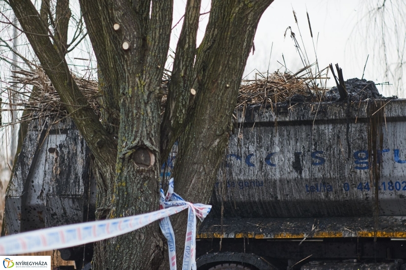 Kotrás a Bujtos tavon - fotó Szarka Lajos