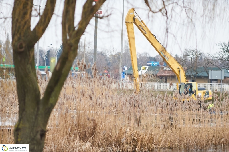 Kotrás a Bujtos tavon - fotó Szarka Lajos