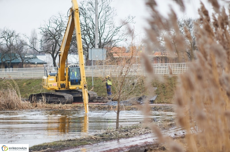Kotrás a Bujtos tavon - fotó Szarka Lajos