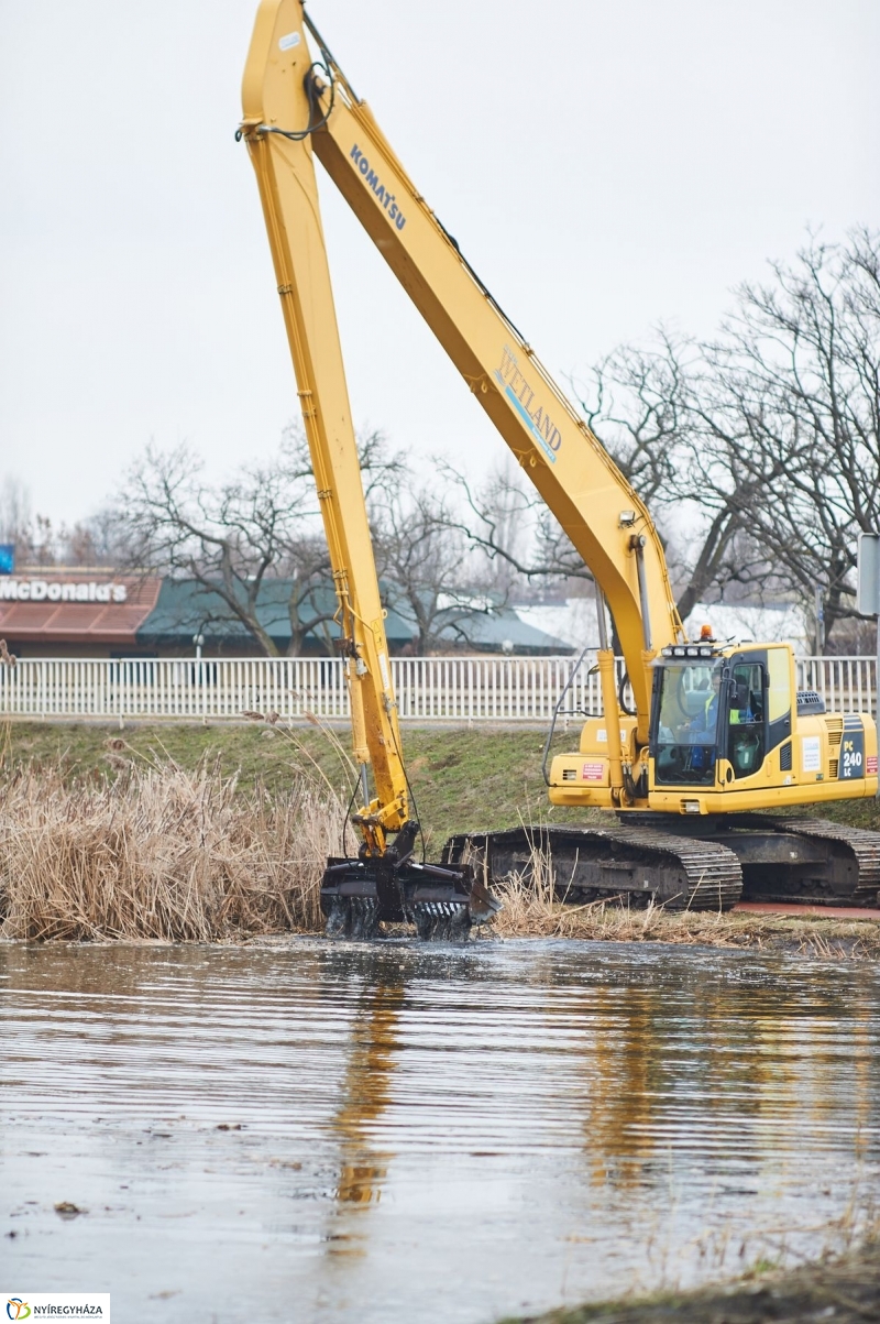 Kotrás a Bujtos tavon - fotó Szarka Lajos