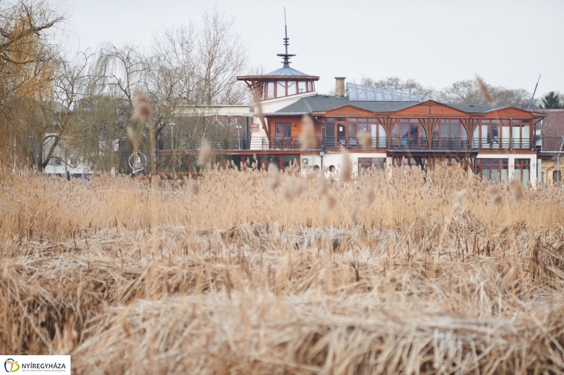 Kotrás a Bujtos tavon - fotó Szarka Lajos