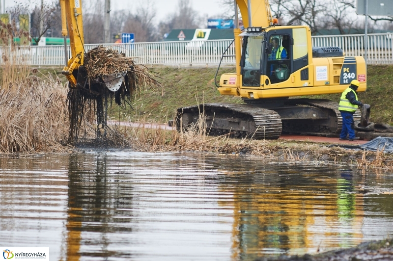 Kotrás a Bujtos tavon - fotó Szarka Lajos