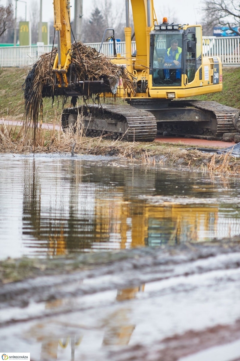 Kotrás a Bujtos tavon - fotó Szarka Lajos