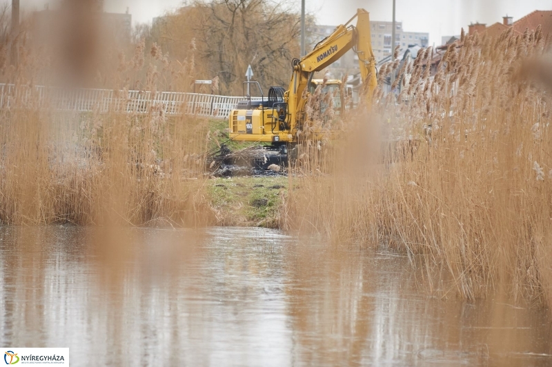 Kotrás a Bujtos tavon - fotó Szarka Lajos