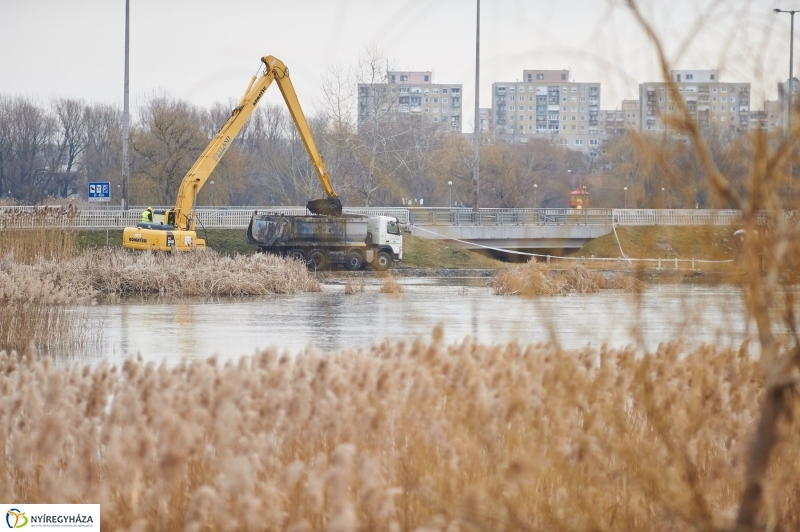 Kotrás a Bujtos tavon - fotó Szarka Lajos