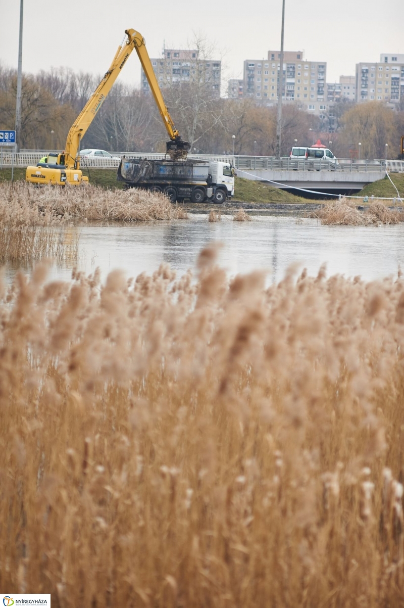 Kotrás a Bujtos tavon - fotó Szarka Lajos