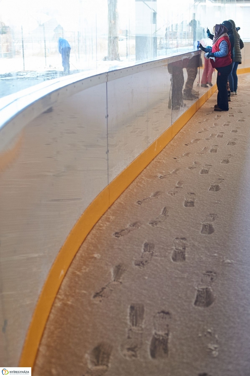 Jégpálya munkálatok - fotó Szarka Lajos