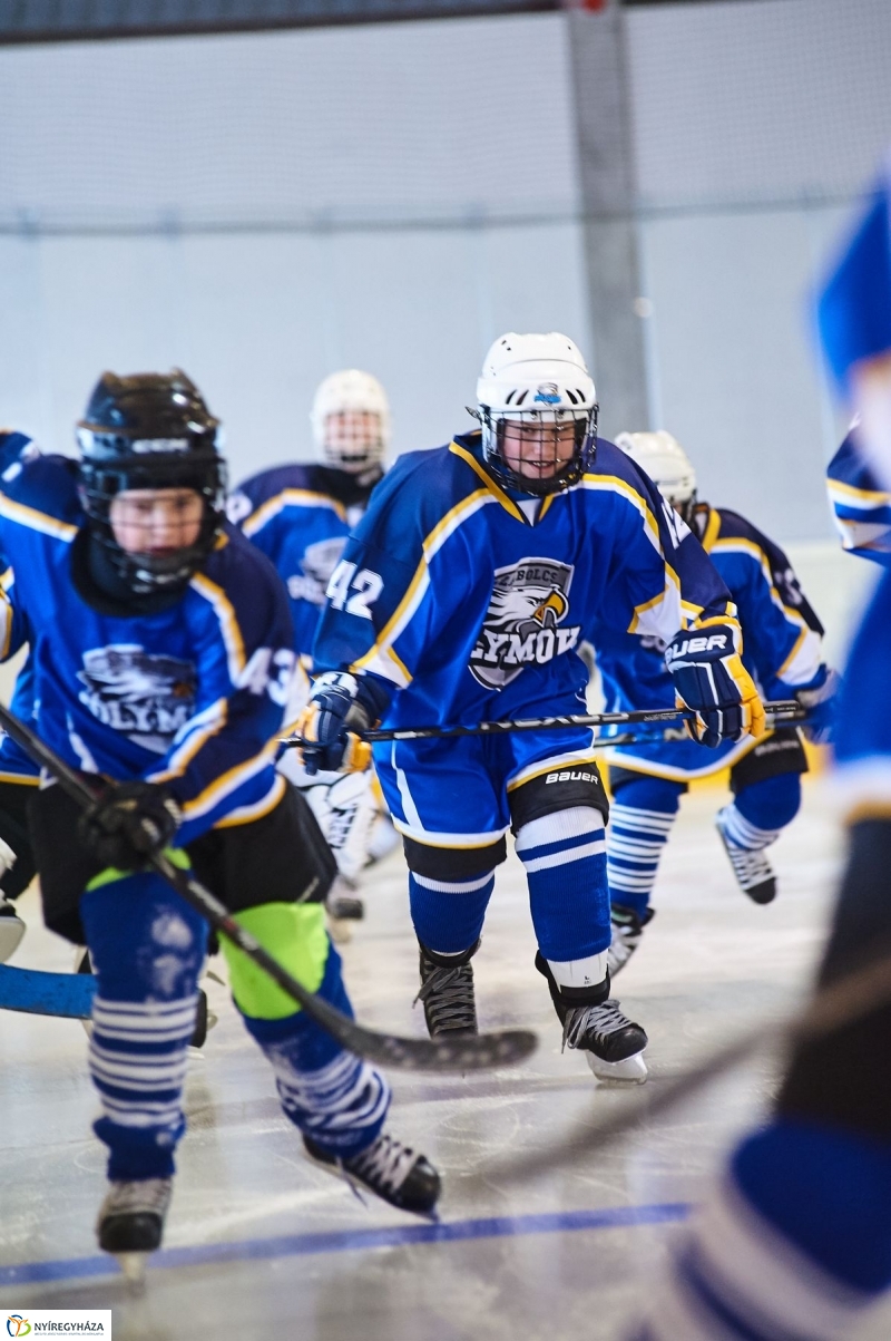 Városi Jégpálya avató 2 - fotó Szarka Lajos