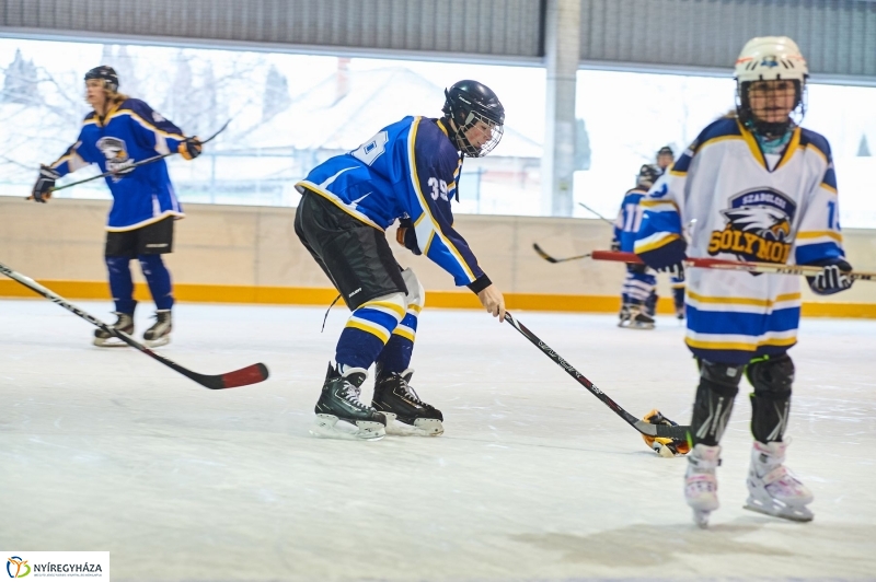 Városi Jégpálya avató 2 - fotó Szarka Lajos