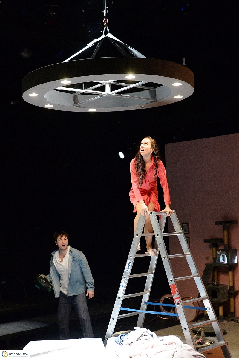 A rózsák háborúja - fotó Trifonov Éva