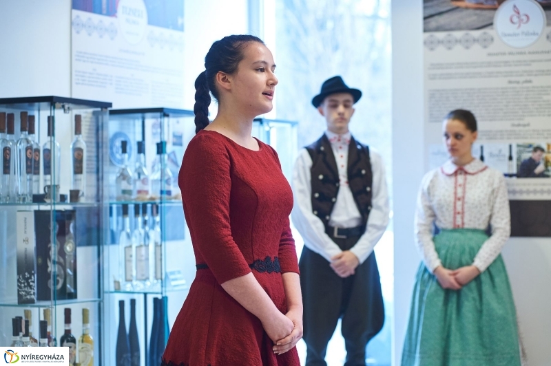 Megyei Értéktár sajtótájékoztató - fotó Szarka Lajos