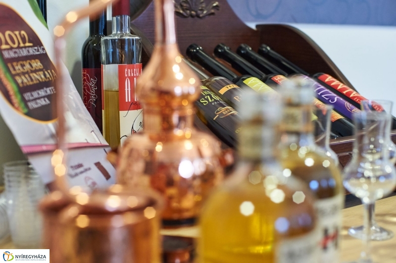 Megyei Értéktár sajtótájékoztató - fotó Szarka Lajos