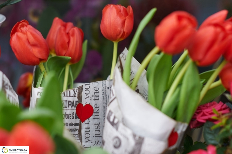 Nőnap 2018 - fotó Szarka Lajos