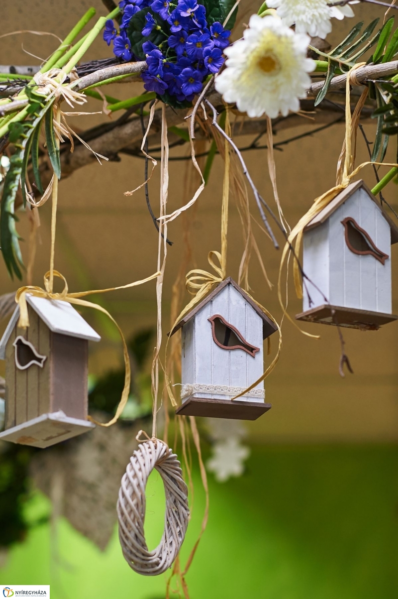 Nőnap 2018 - fotó Szarka Lajos