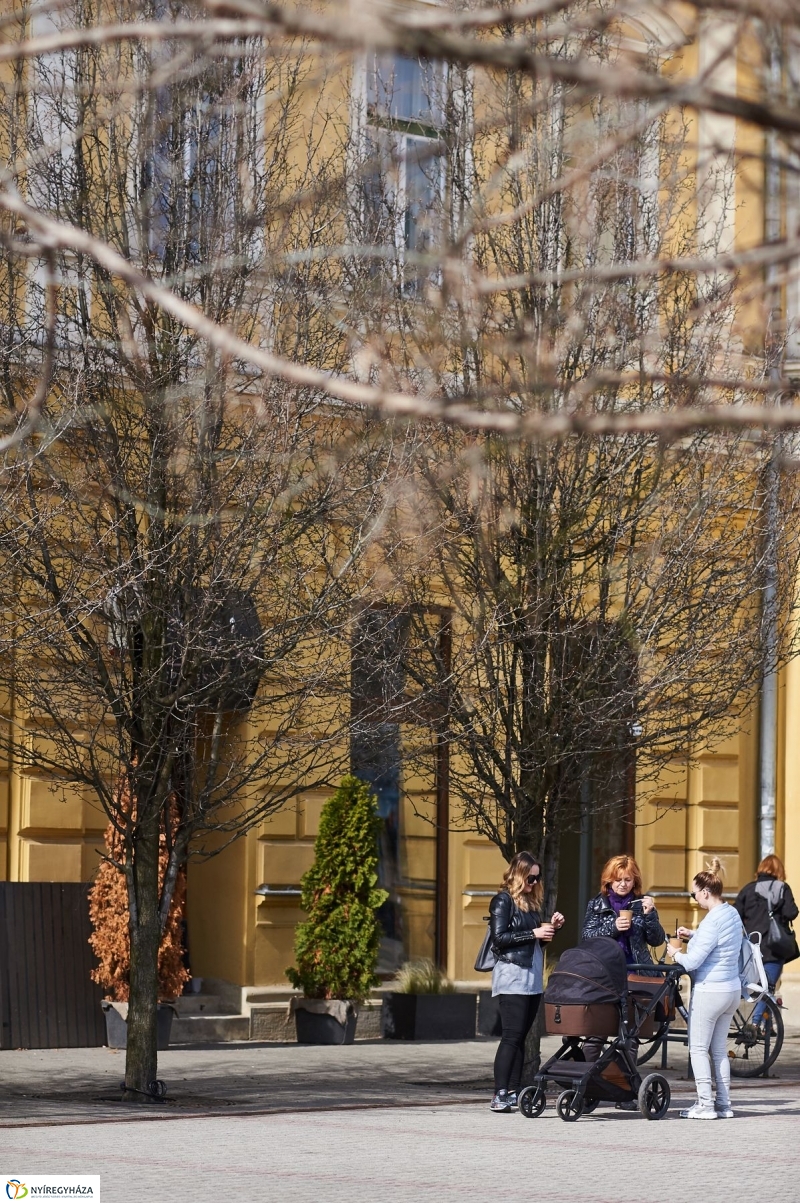 Itt a tavasz - fotó Szarka Lajos