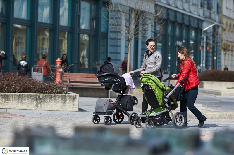 Itt a tavasz - fotó Szarka Lajos