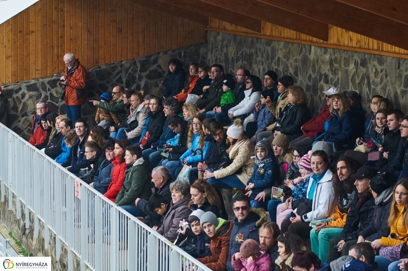 Fókashow az Állatparkban - fotó Szarka Lajos