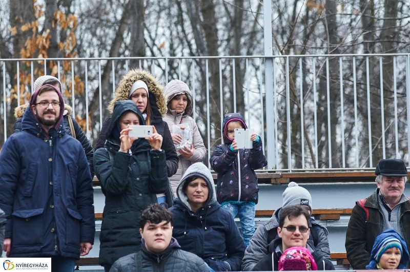 Fókashow az Állatparkban - fotó Szarka Lajos