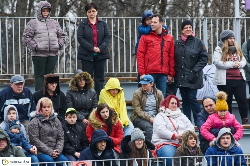 Fókashow az Állatparkban - fotó Szarka Lajos