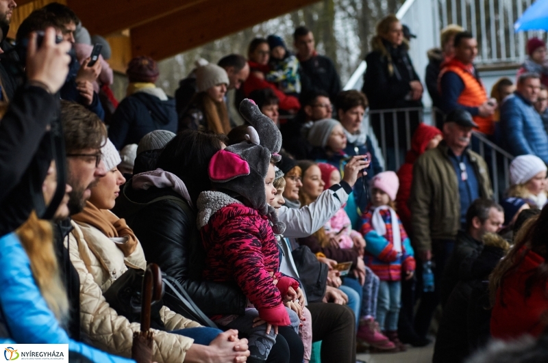 Fókashow az Állatparkban - fotó Szarka Lajos