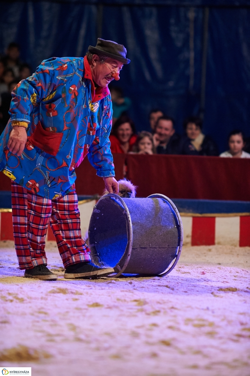 Circus America Nyíregyházán - fotó Szarka Lajos