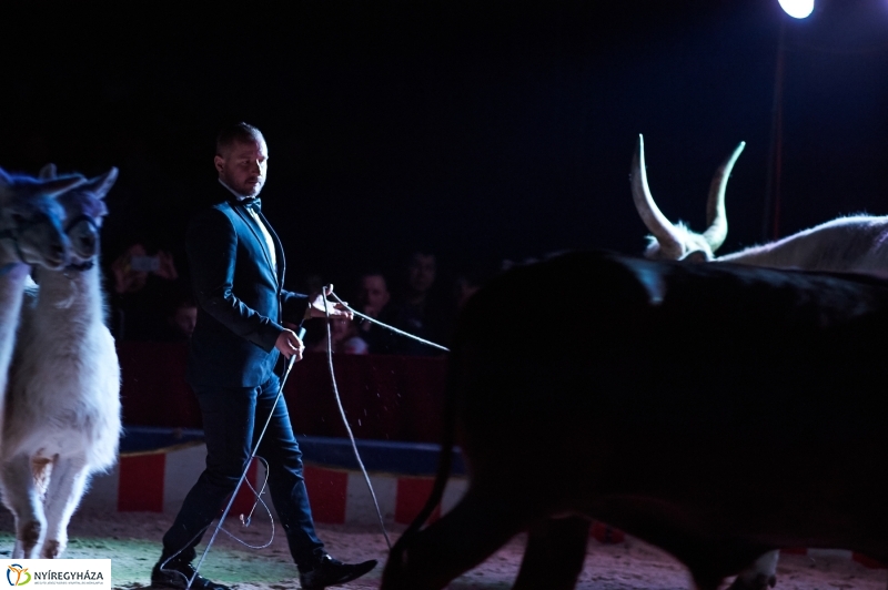 Circus America Nyíregyházán - fotó Szarka Lajos
