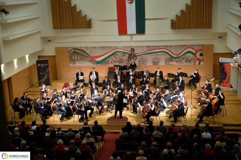 Boros Misi Nyíregyházán - fotó Trifonov Éva