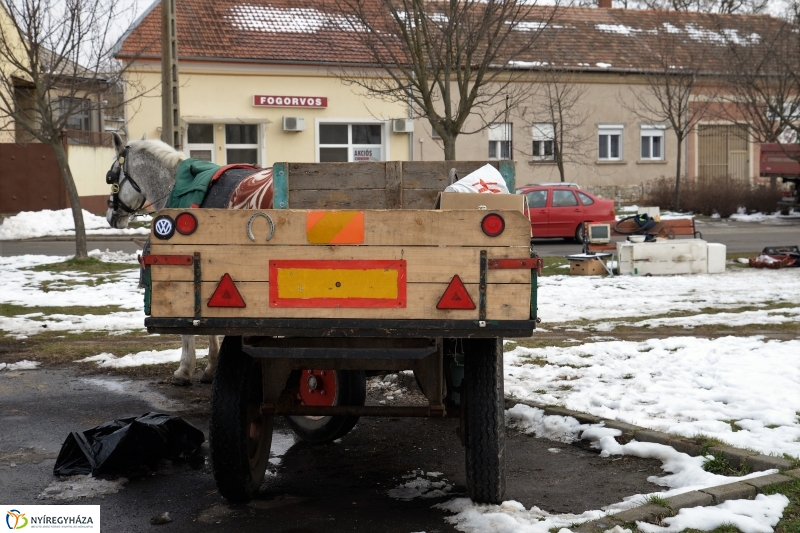 Lomtalanítás Nyíregyházán - fotó Trifonov Éva