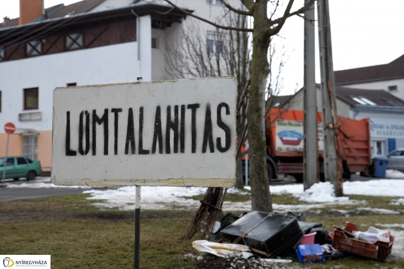 Lomtalanítás Nyíregyházán - fotó Trifonov Éva