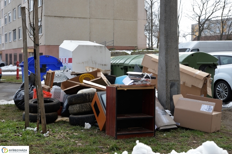 Lomtalanítás Nyíregyházán - fotó Trifonov Éva