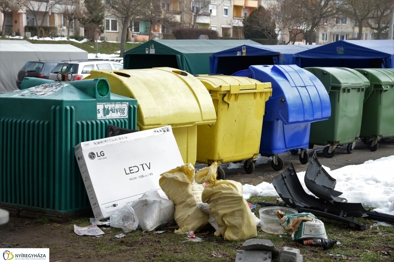 Lomtalanítás Nyíregyházán - fotó Trifonov Éva