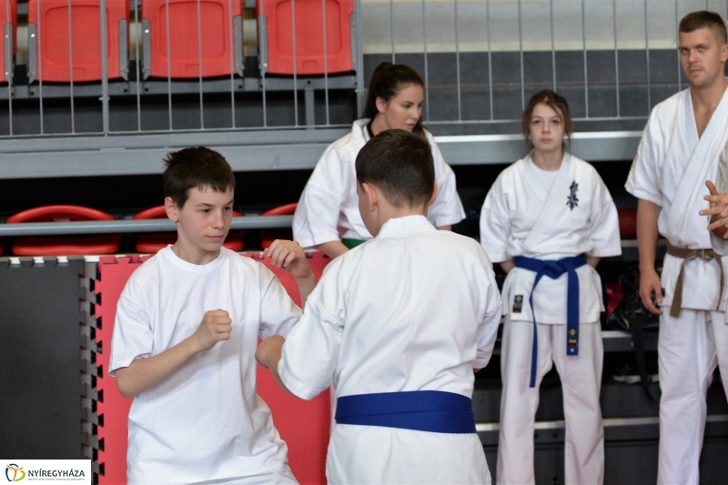 Sportágválasztó Nyíregyházán - fotó Trifonov Éva