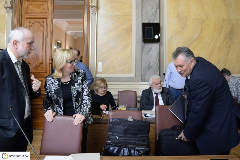 Városi Közgyűlés 2018 03 29 - fotó Trifonov Éva