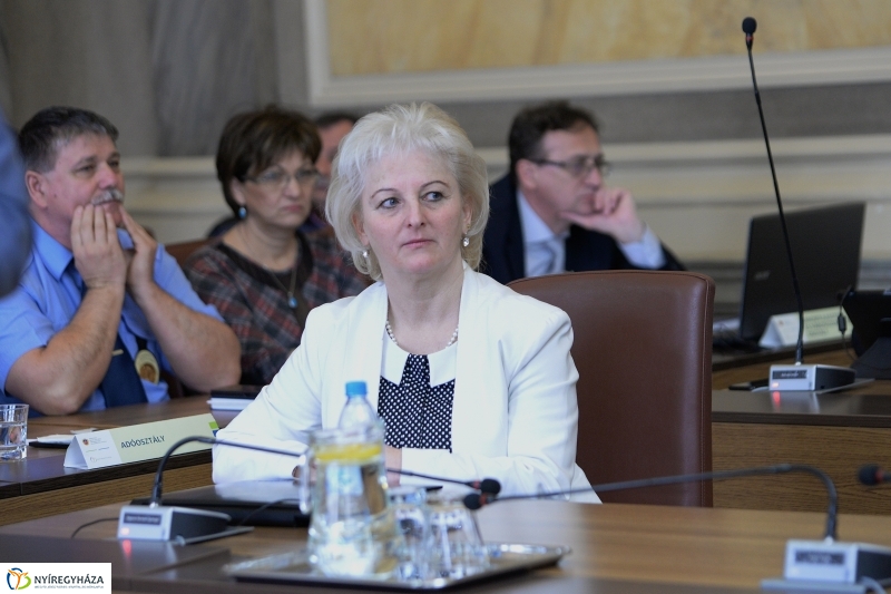 Városi Közgyűlés 2018 03 29 - fotó Trifonov Éva