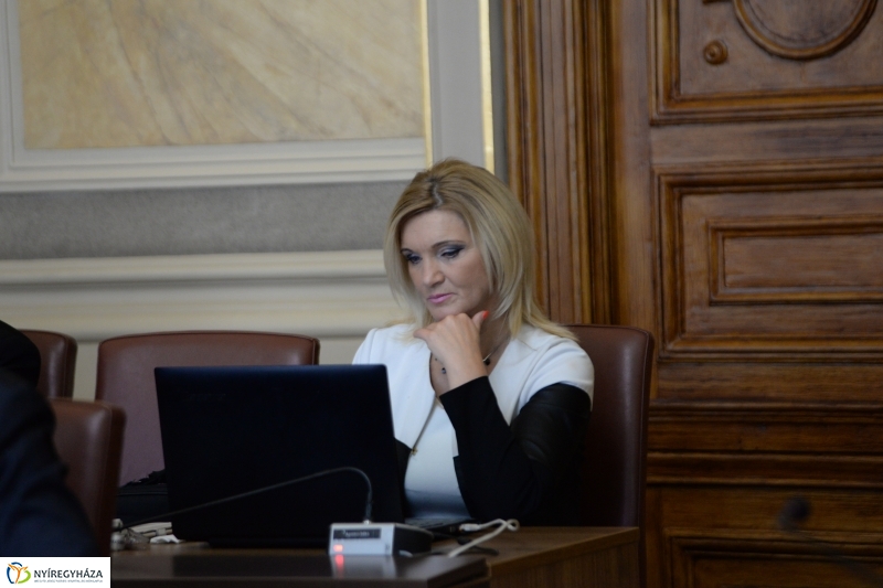 Városi Közgyűlés 2018 03 29 - fotó Trifonov Éva