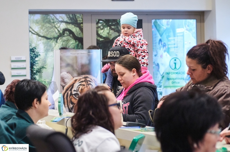 Húsvétkor az Állatparkban - fotó Szarka Lajos