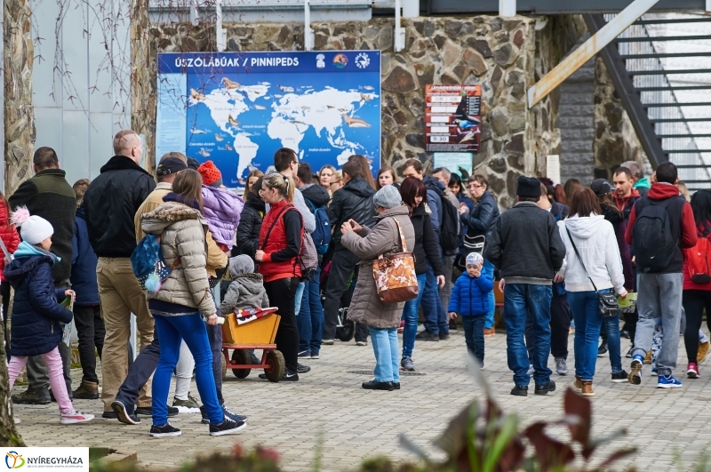 Húsvétkor az Állatparkban - fotó Szarka Lajos