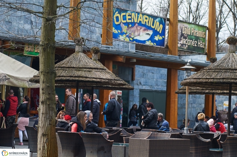 Húsvétkor az Állatparkban - fotó Szarka Lajos