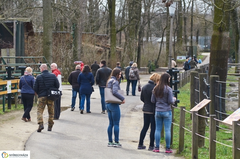 Húsvétkor az Állatparkban - fotó Szarka Lajos