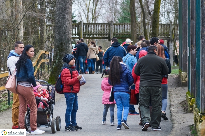 Húsvétkor az Állatparkban - fotó Szarka Lajos
