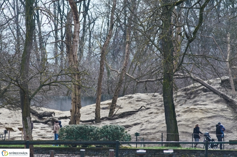 Húsvétkor az Állatparkban - fotó Szarka Lajos