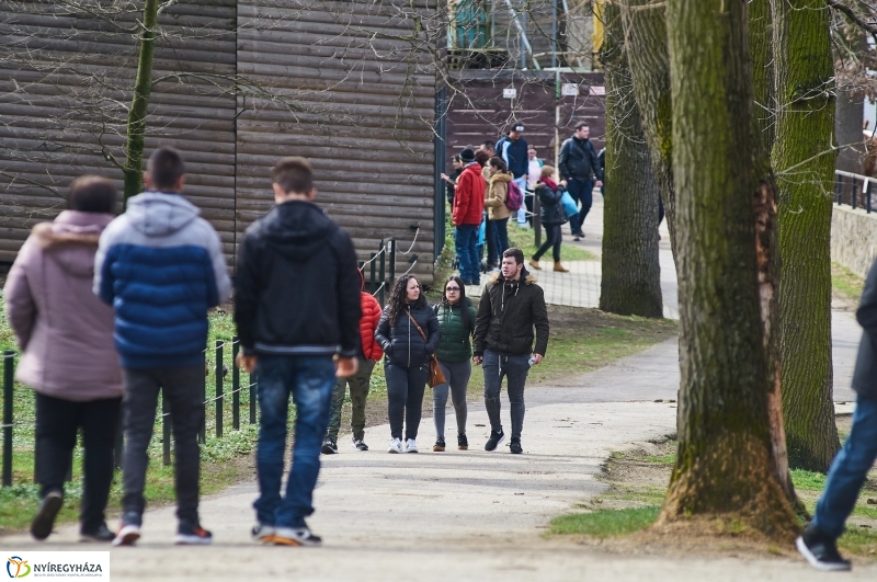 Húsvétkor az Állatparkban - fotó Szarka Lajos