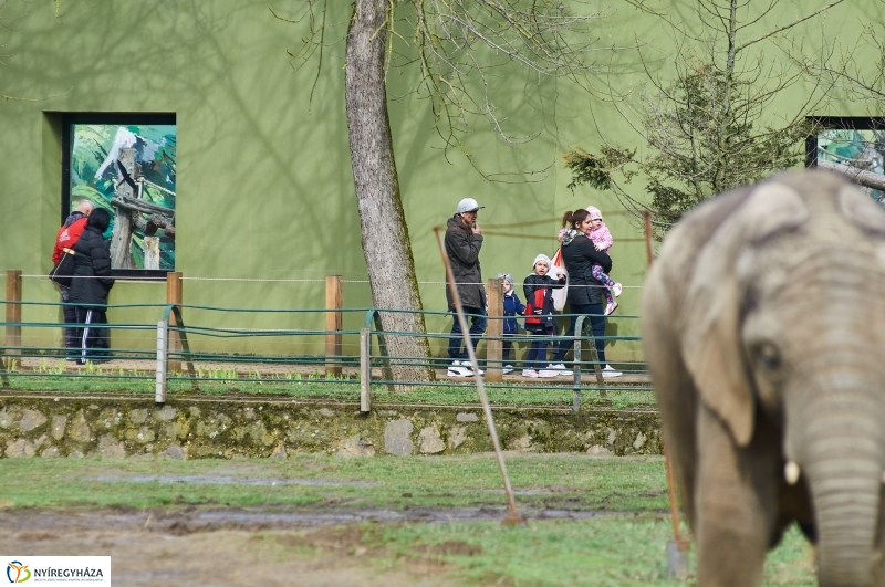 Húsvétkor az Állatparkban - fotó Szarka Lajos