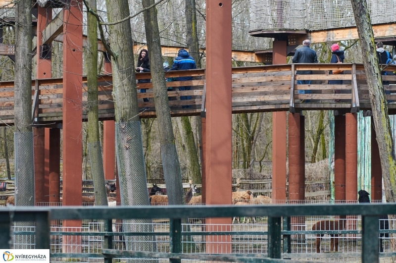 Húsvétkor az Állatparkban - fotó Szarka Lajos