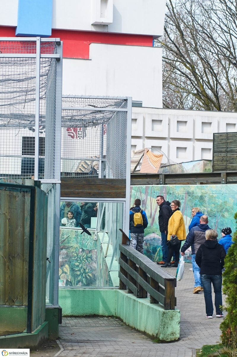Húsvétkor az Állatparkban - fotó Szarka Lajos