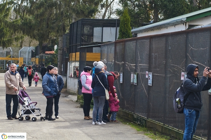 Húsvétkor az Állatparkban - fotó Szarka Lajos