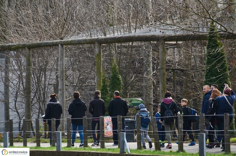 Húsvétkor az Állatparkban - fotó Szarka Lajos