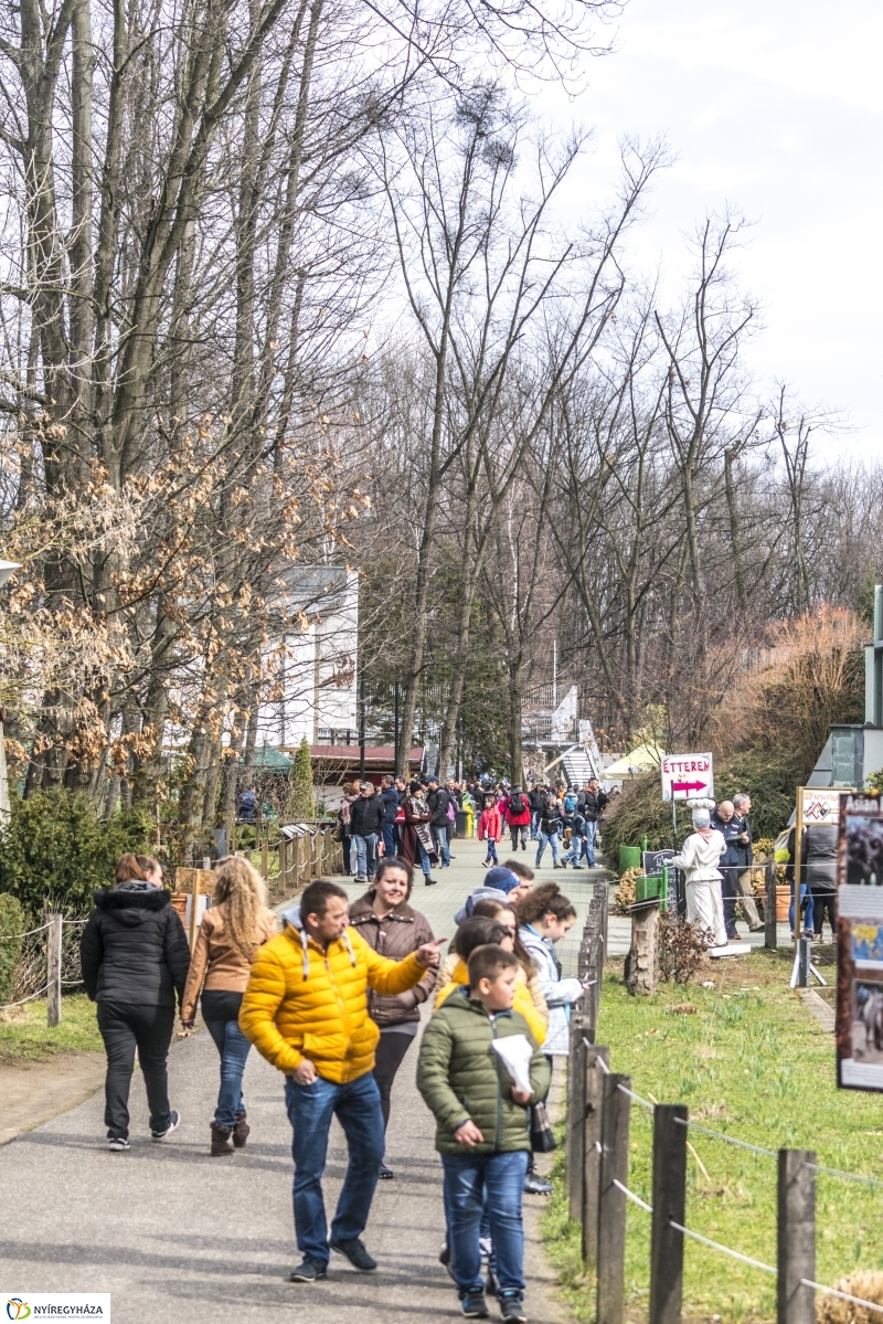 Húsvét a Nyíregyházi Állatparkban - fotó Kohut Árpád