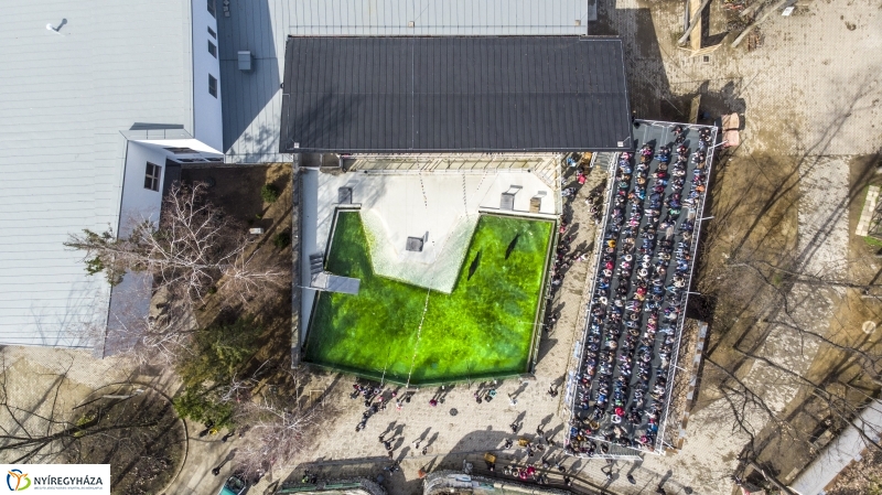 Húsvét a Nyíregyházi Állatparkban - fotó Kohut Árpád