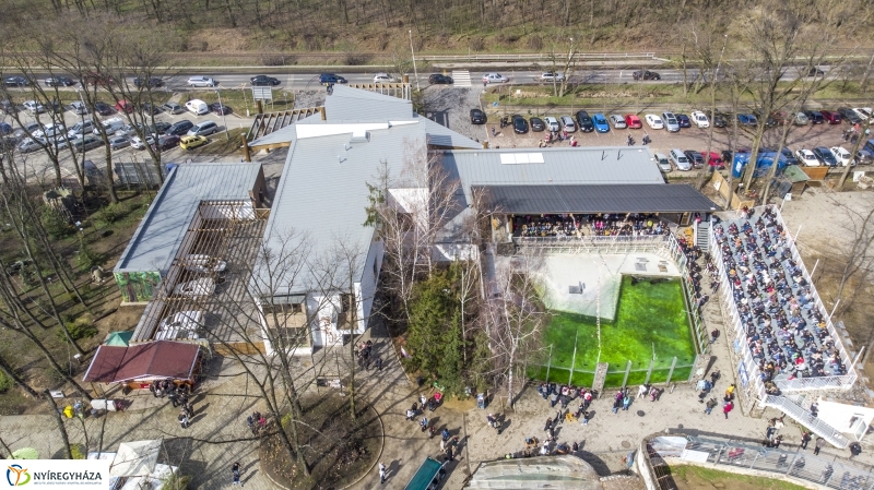 Húsvét a Nyíregyházi Állatparkban - fotó Kohut Árpád